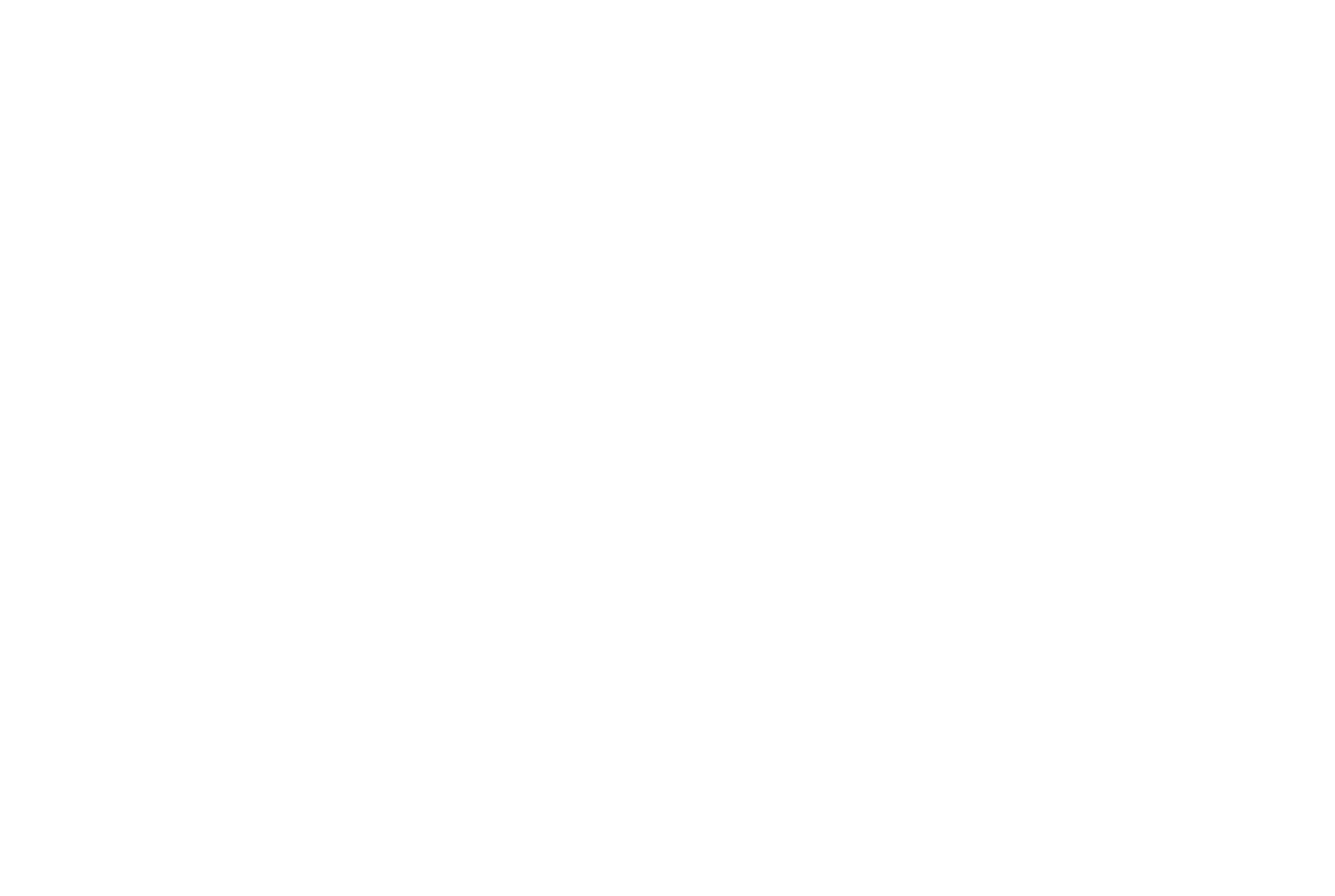Maia Consultores